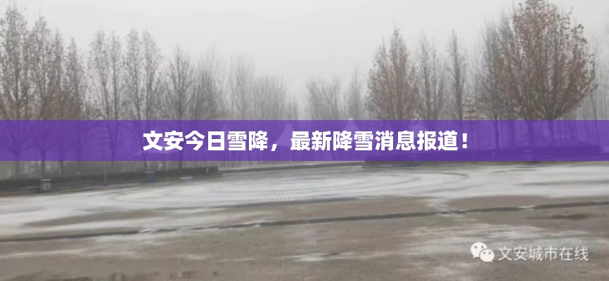 事必躬亲 第2页