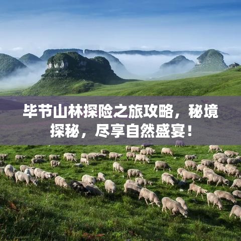 毕节山林探险之旅攻略，秘境探秘，尽享自然盛宴！