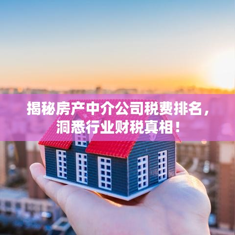 揭秘房产中介公司税费排名，洞悉行业财税真相！