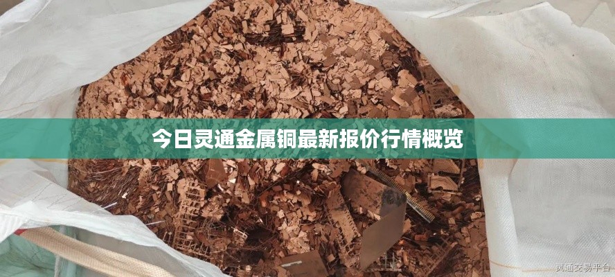 今日灵通金属铜最新报价行情概览