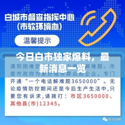 今日白市独家爆料，最新消息一览