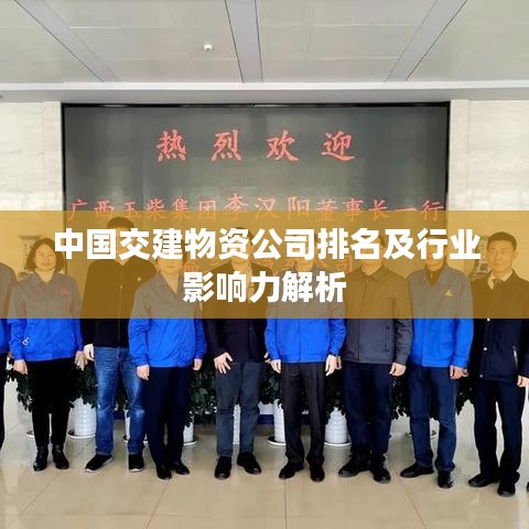 中国交建物资公司排名及行业影响力解析