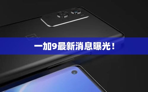 一加9最新消息曝光！