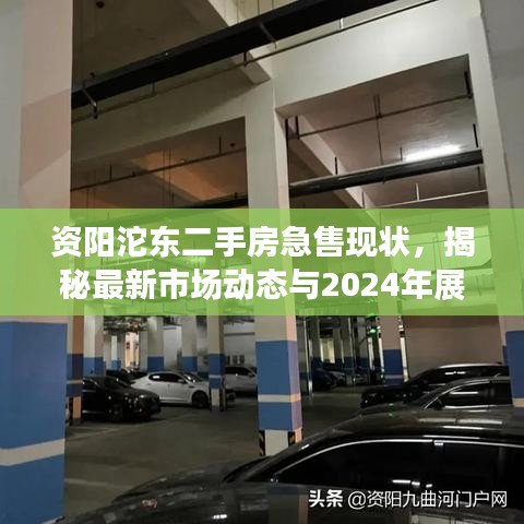 资阳沱东二手房急售现状，揭秘最新市场动态与2024年展望