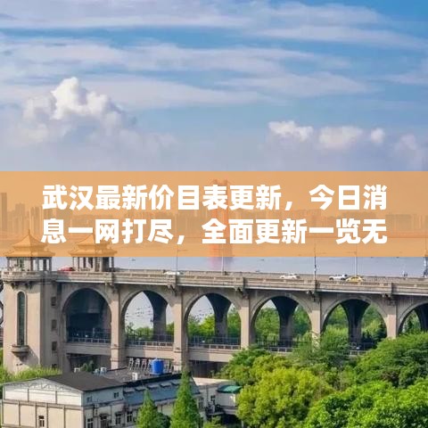 武汉最新价目表更新，今日消息一网打尽，全面更新一览无余
