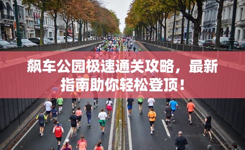 飙车公园极速通关攻略，最新指南助你轻松登顶！