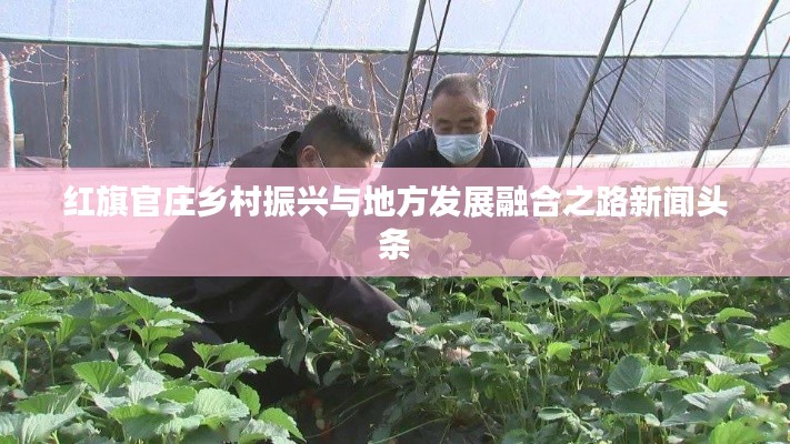 红旗官庄乡村振兴与地方发展融合之路新闻头条