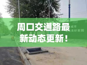 周口交通路最新动态更新！
