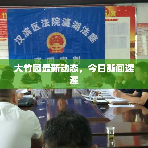 大竹园最新动态，今日新闻速递