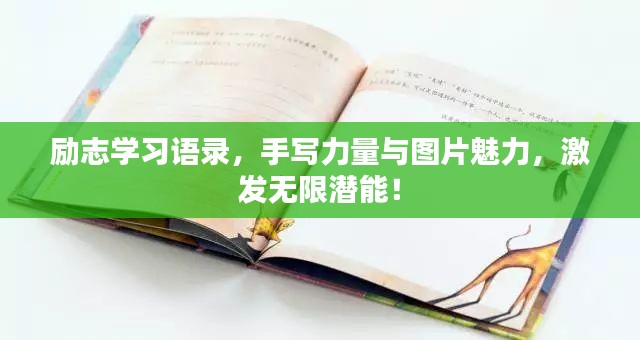励志学习语录，手写力量与图片魅力，激发无限潜能！