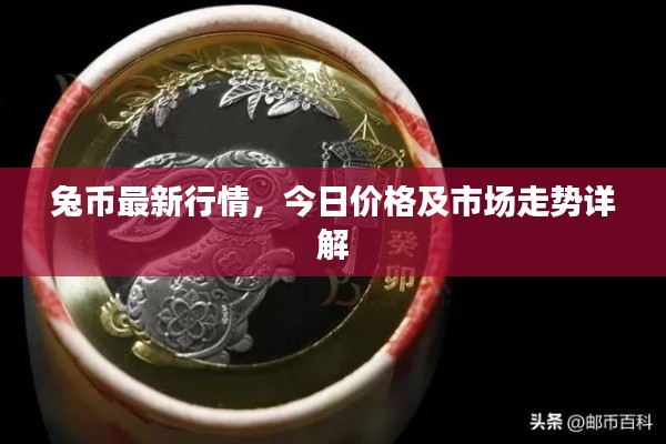 兔币最新行情，今日价格及市场走势详解