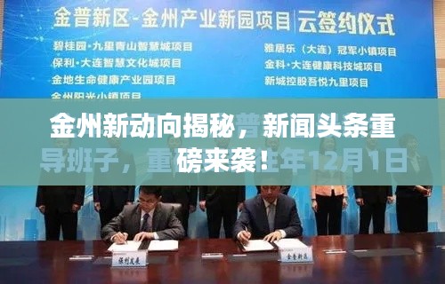 金州新动向揭秘，新闻头条重磅来袭！