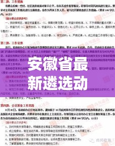 安徽省最新遴选动态，揭秘2024年遴选计划