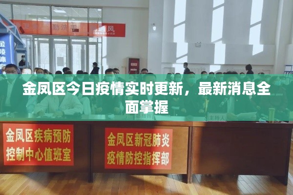 金凤区今日疫情实时更新，最新消息全面掌握