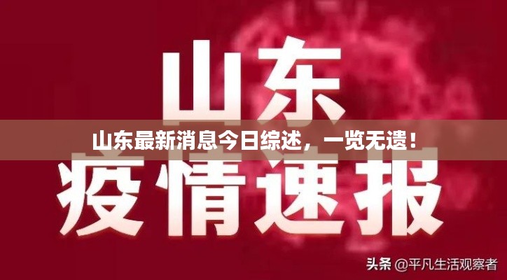 山东最新消息今日综述，一览无遗！