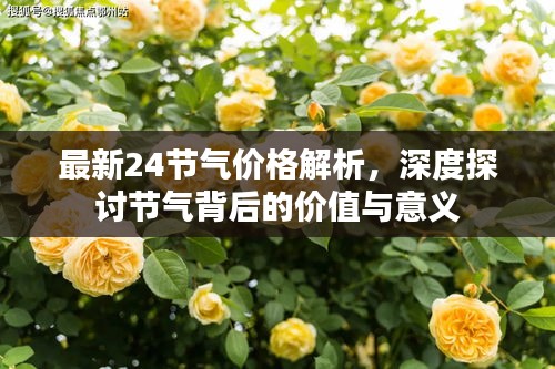 最新24节气价格解析，深度探讨节气背后的价值与意义