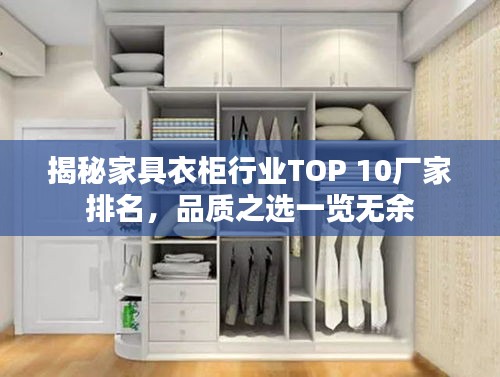 揭秘家具衣柜行业TOP 10厂家排名，品质之选一览无余