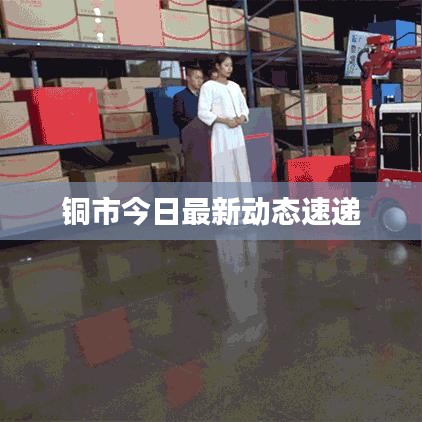 披沙拣金 第2页