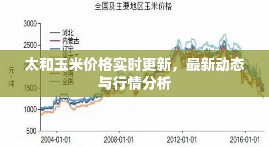 太和玉米价格实时更新，最新动态与行情分析