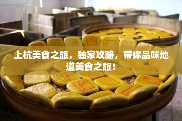 上杭美食之旅，独家攻略，带你品味地道美食之旅！