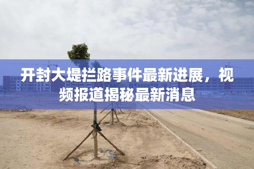开封大堤拦路事件最新进展，视频报道揭秘最新消息