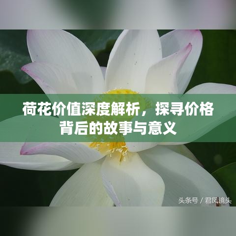 删华就素 第2页