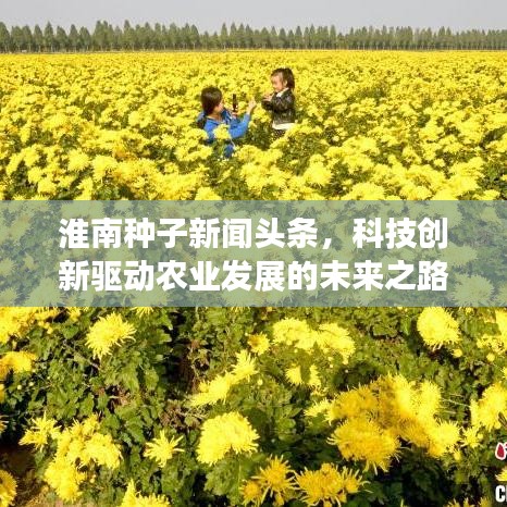 钗荆裙布 第2页