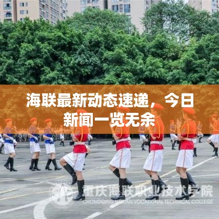 海联最新动态速递，今日新闻一览无余