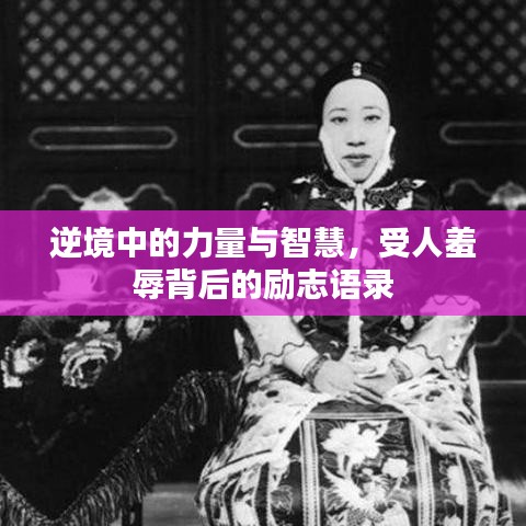 逆境中的力量与智慧，受人羞辱背后的励志语录