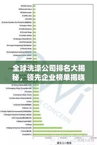 全球洗涤公司排名大揭秘，领先企业榜单揭晓！