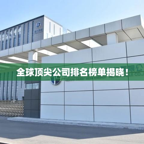 全球顶尖公司排名榜单揭晓！