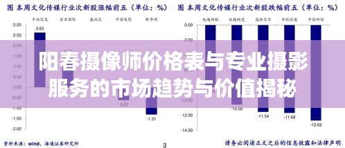阳春摄像师价格表与专业摄影服务的市场趋势与价值揭秘