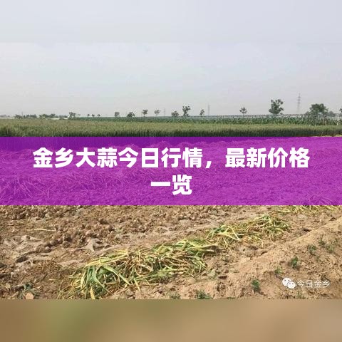 鸟覆危巢 第2页