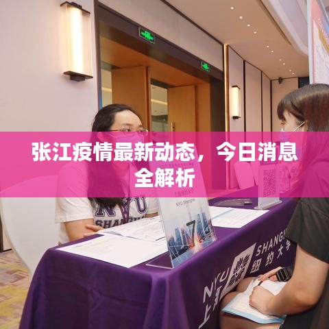 张江疫情最新动态，今日消息全解析