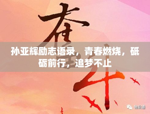 孙亚辉励志语录，青春燃烧，砥砺前行，追梦不止
