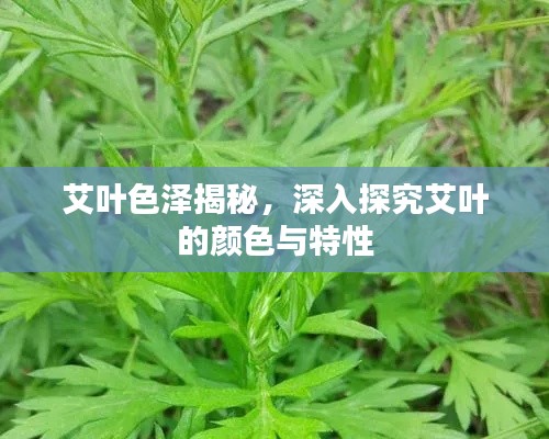 艰苦朴素 第2页