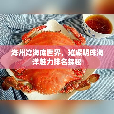 海州湾海底世界，璀璨明珠海洋魅力排名探秘