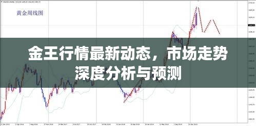 金王行情最新动态，市场走势深度分析与预测