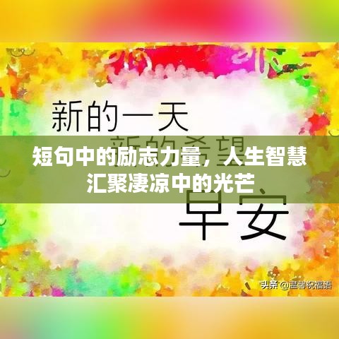 短句中的励志力量，人生智慧汇聚凄凉中的光芒