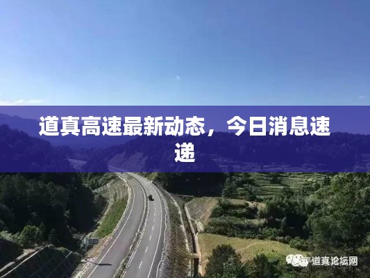 道真高速最新动态，今日消息速递