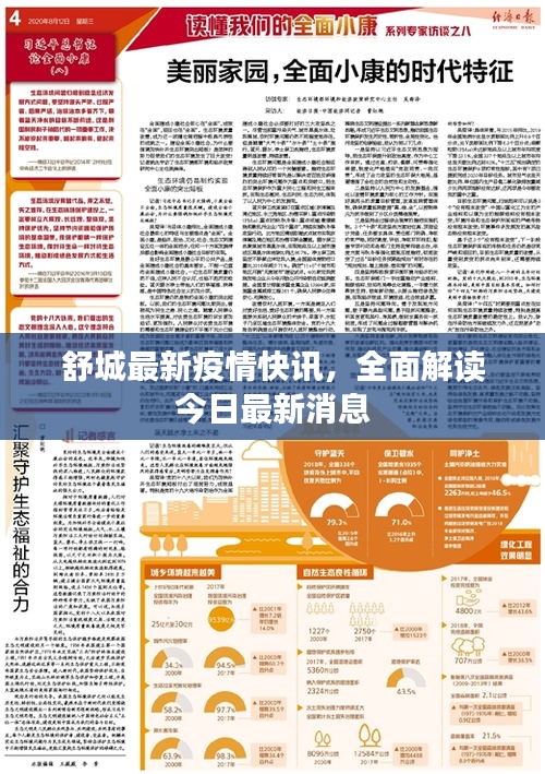舒城最新疫情快讯，全面解读今日最新消息