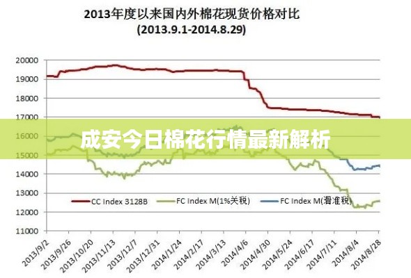 成安今日棉花行情最新解析
