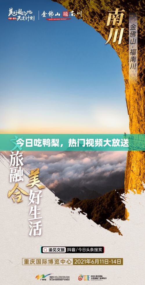今日吃鸭梨，热门视频大放送