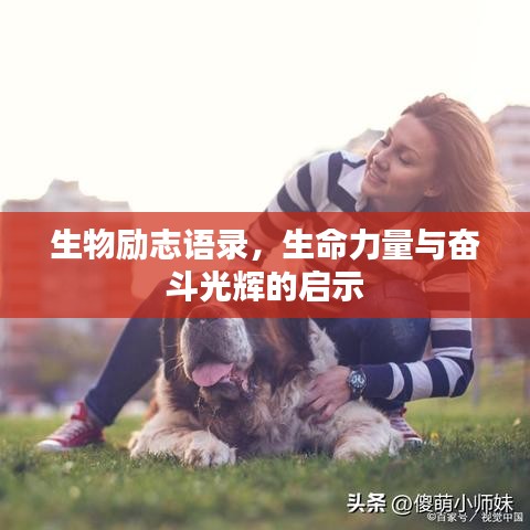 生物励志语录，生命力量与奋斗光辉的启示