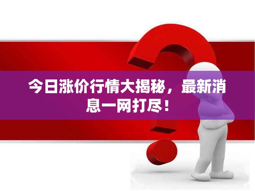 今日涨价行情大揭秘，最新消息一网打尽！