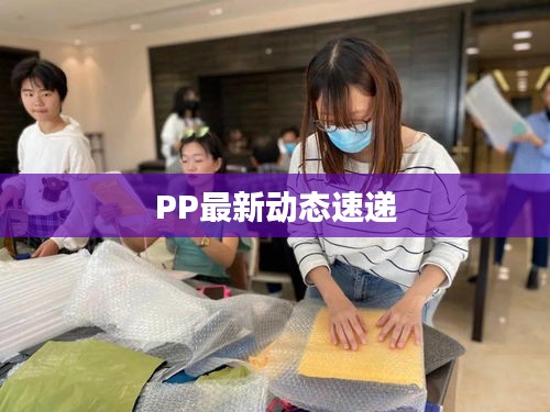 PP最新动态速递