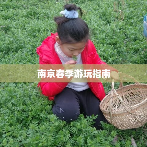 南京春季游玩指南