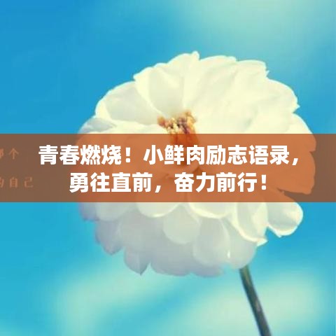 青春燃烧！小鲜肉励志语录，勇往直前，奋力前行！