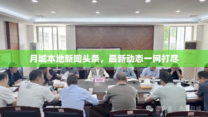 月城本地新闻头条，最新动态一网打尽