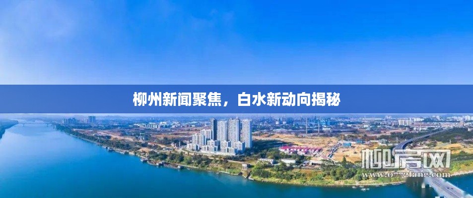 柳州新闻聚焦，白水新动向揭秘